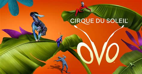 OVO : Spectacle de tournée. Voir billets et offres